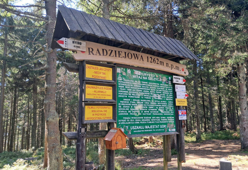 Radziejowa