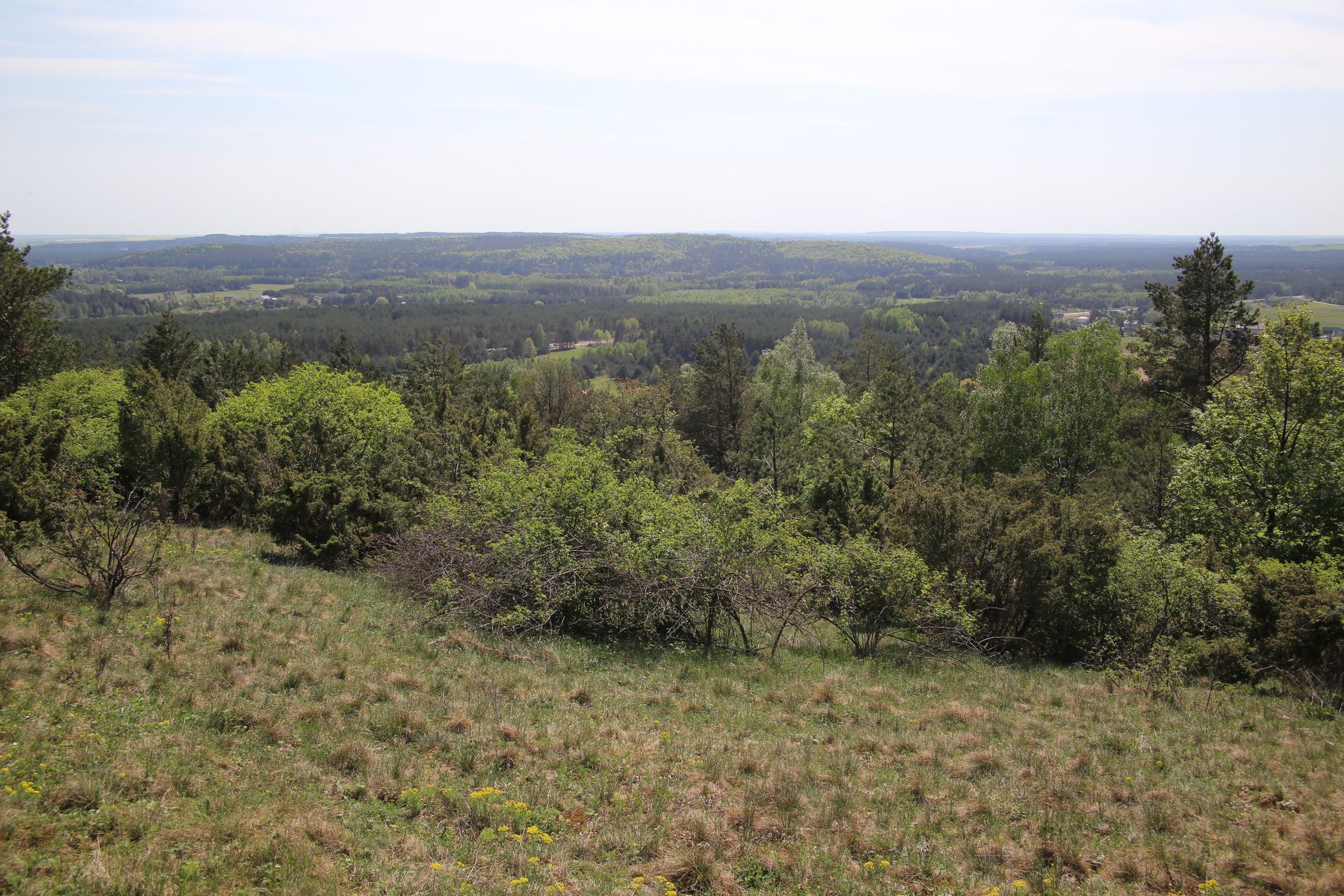 grzywy korzeczkowskie img 3413 fot lukasz zarzycki