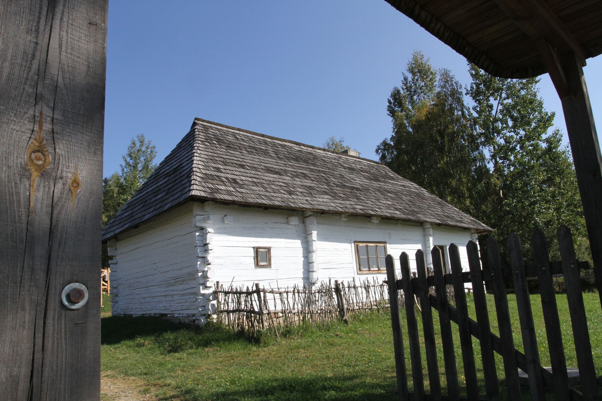 kakonin img 0067 fot lukasz zarzycki