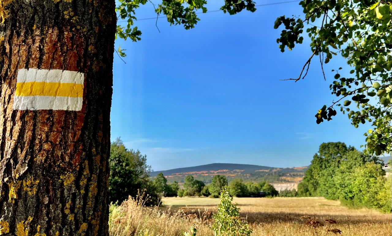04. Widok na Pasmo Jeleniowskier. Fot. Andrzej Jóźwiak