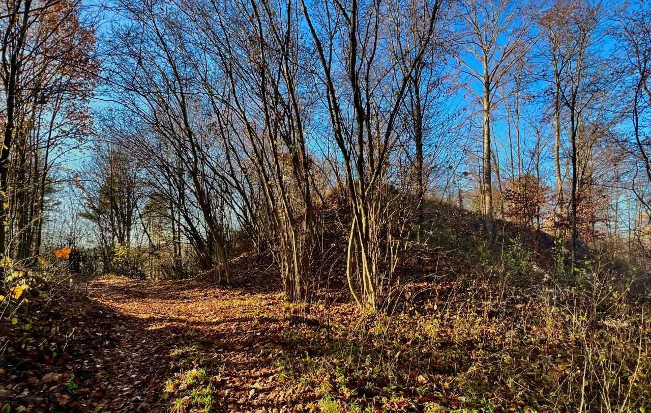 07. Grodzisko koło Nowego Stawu. Fot. Andrzej Jóźwiak