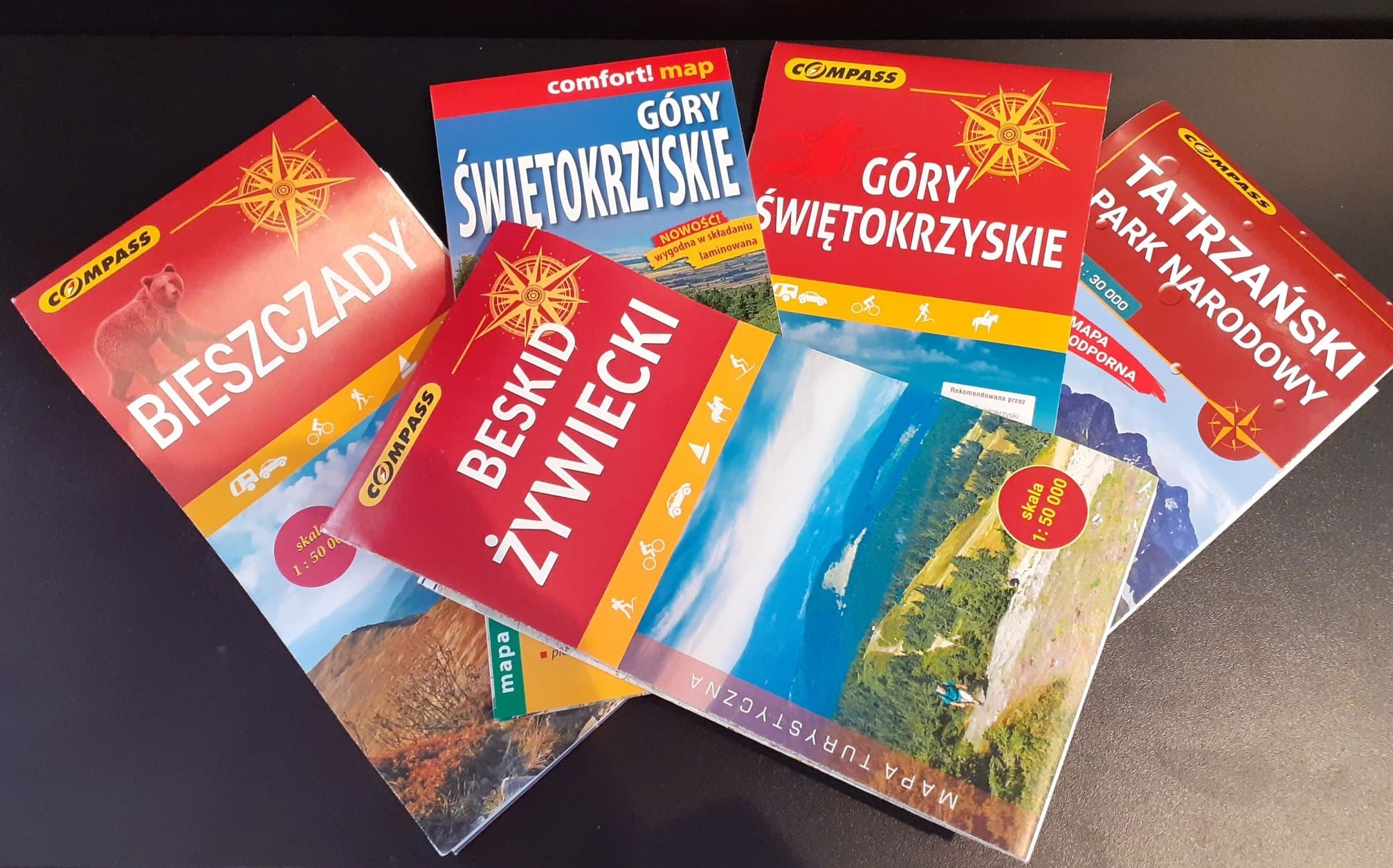 141194049 3361089157330606 1278449833940044801 n